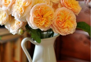 最常见的十大鲜切花材，向日葵上榜，第一被誉为花中皇后